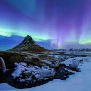 Meet your Posher, Brie